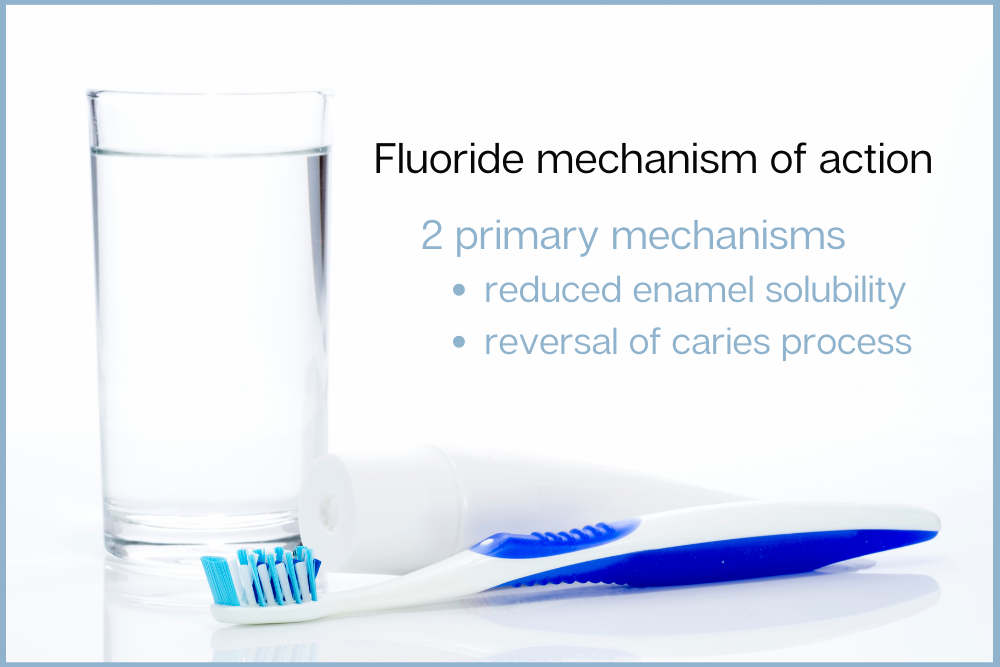 Fluoride mechanism of action graphic outlines two primary mechanisms of reduced enamel solubility and reversal of caries process