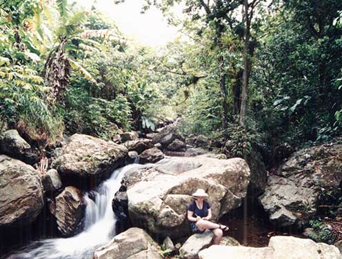 Effie Greathouse doing field work taking notes in a Puerto Rico mountain stream