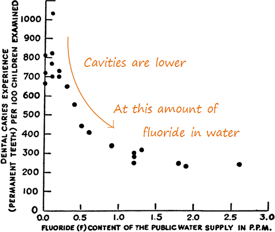 A graph from 1930s and 1940s research on cavities decreasing with fluoride levels is a key reason for why is there fluoride in our water.