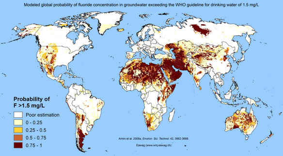 Map of too much fluoride in water exceeding safe levels from a global model