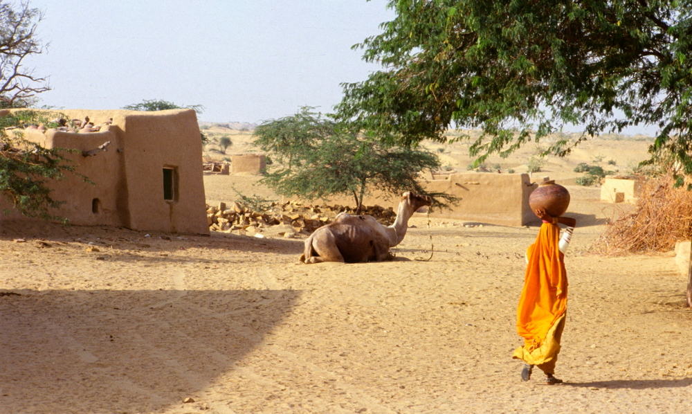 Woman transporting a pot in Guri, a village in northern Rajasthan, India, where fluoride is naturally too high in water