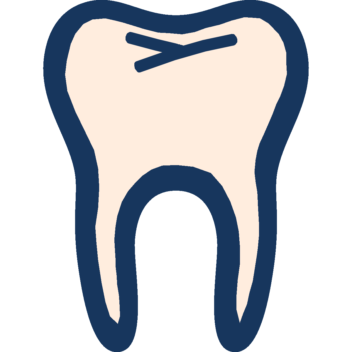 Icon of a tooth with grooves and pits in the molar