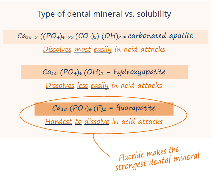 Chemical formulas for carbonated apatite (dissovled most easily in acid attacks), hydroxyapatite (dissolves less easily), and fluorapatite (hardest to dissolve)