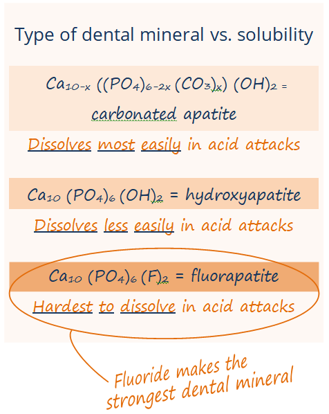 Chemical formulas for carbonated apatite (dissovled most easily in acid attacks), hydroxyapatite (dissolves less easily), and fluorapatite (hardest to dissolve)
