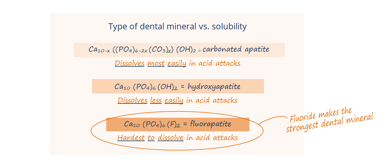 Chemical formulas for carbonated apatite (dissovled most easily in acid attacks), hydroxyapatite (dissolves less easily), and fluorapatite (hardest to dissolve)