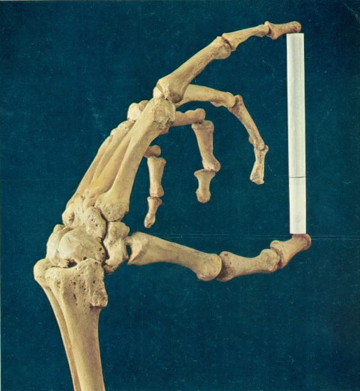 skeleton hand holding up a cigarette