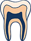 tooth cross-section icon